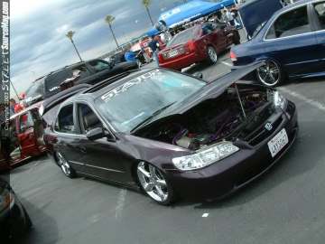 swift Show Images Page 3