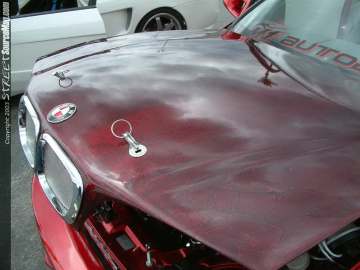 swift Show Images Page 5