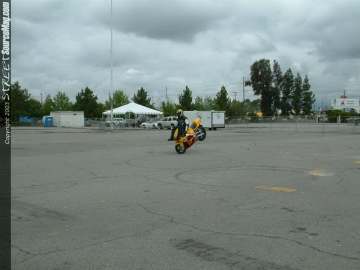 dub Show Images Page 1