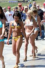 laydout06 Show Images Page 7