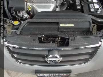 Bringing forth new Trenz