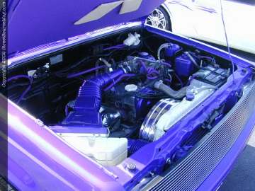 tarheel Show Images Page 1