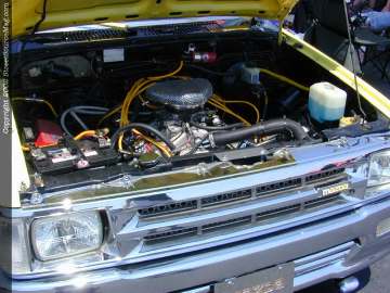 tarheel Show Images Page 4