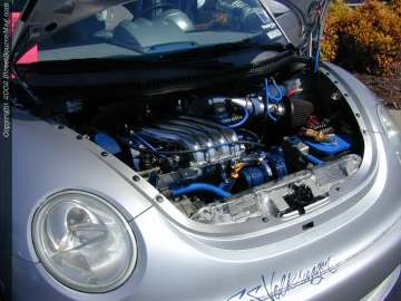 tarheel Show Images Page 5