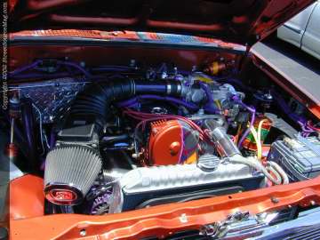 tarheel Show Images Page 5