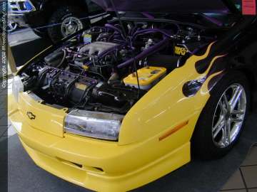 tarheel Show Images Page 7