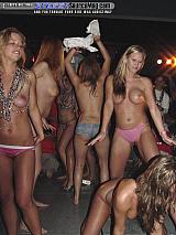 HWI Show Images Page 6