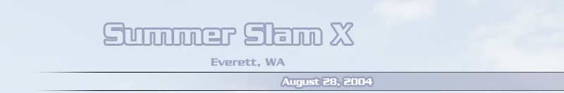 Summer Slam 11
