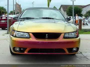 midyear Show Images Page 2