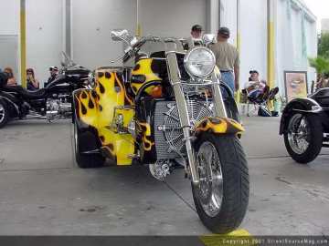 midyear Show Images Page 2