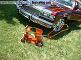 northwestmotOrfest Show Images Page 3