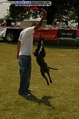 midwest Show Images Page 7