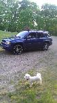 2006 Chevy TrailBlazer