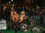 1999 Show Bikes other
