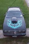 1981 Pontiac TransAm