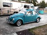 1963 Volkswagen Bug