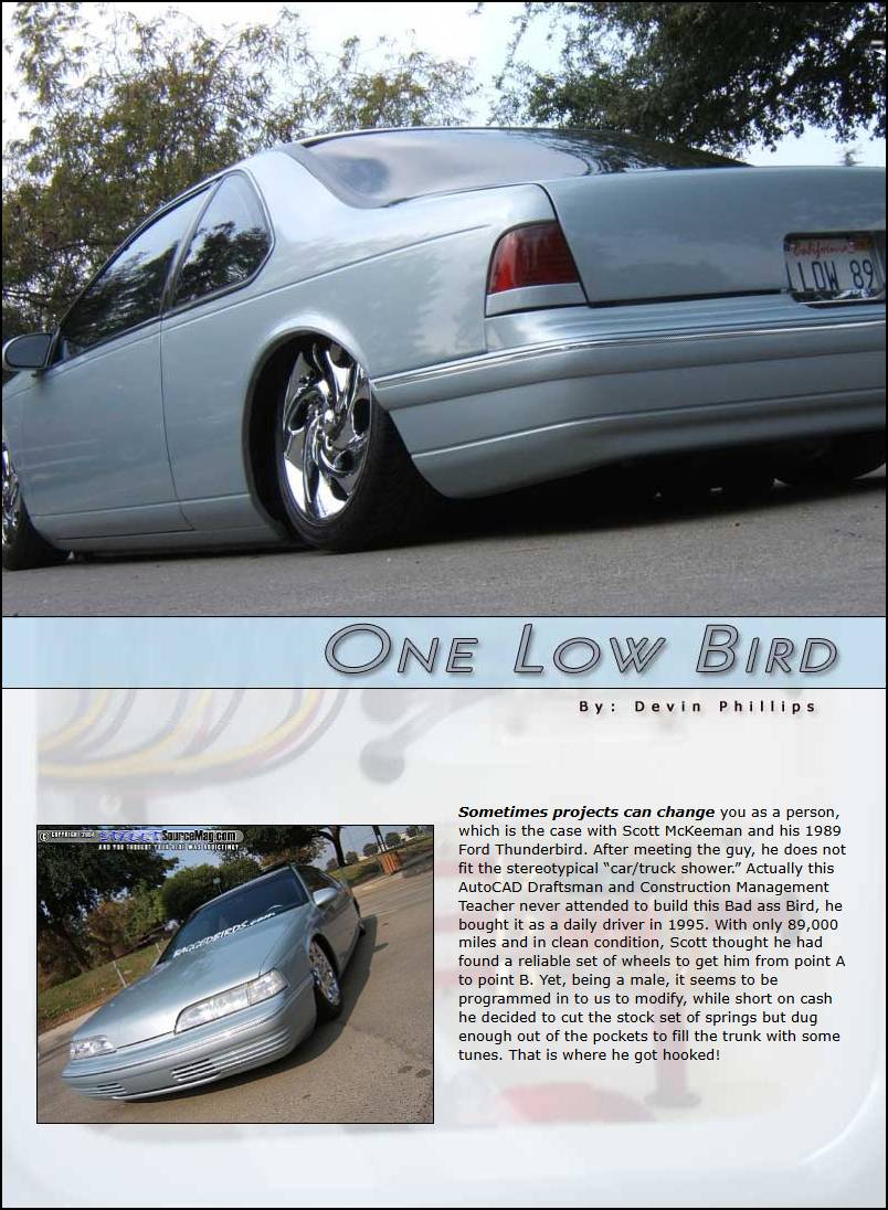 One Low Bird